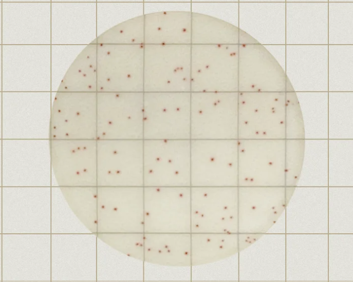 MicroFast® Premium Aerobic Count Plate (AC)